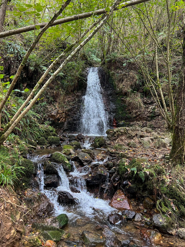Cascada de Nonaya (Salas)